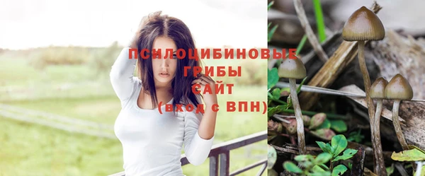круглые Аркадак