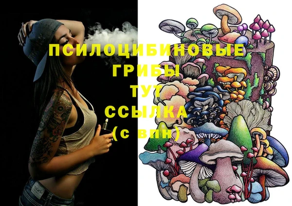 спайс Армянск