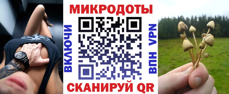 blacksprut зеркало  Свободный  Псилоцибиновые грибы мухоморы  наркотики 